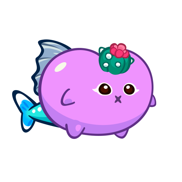 SEED Mon