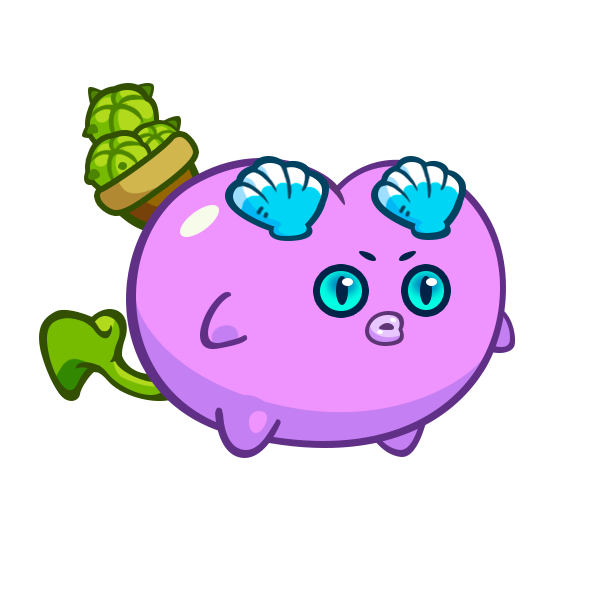 SEED Mon
